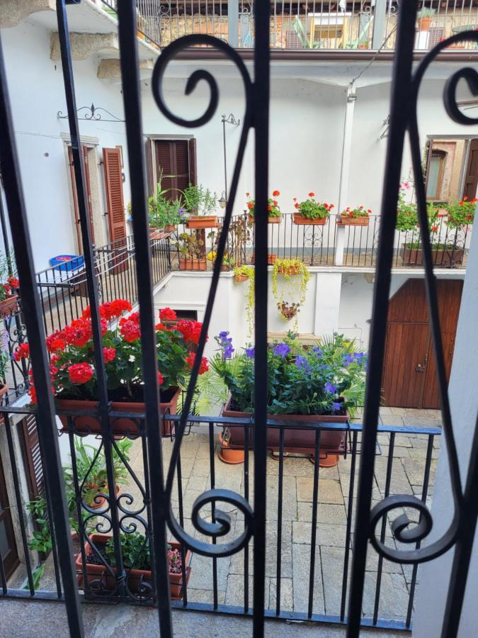 Casa Onorina, Relax E Tranquillita Sul Lago D'Orta Bolzano Novarese Екстер'єр фото